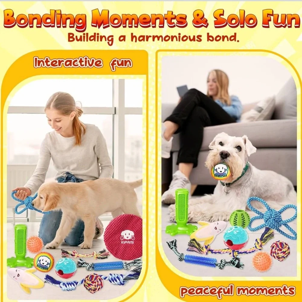 Pet 🪢 Walk & Play Bundle - 6 Pieces